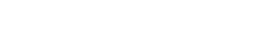 Newton